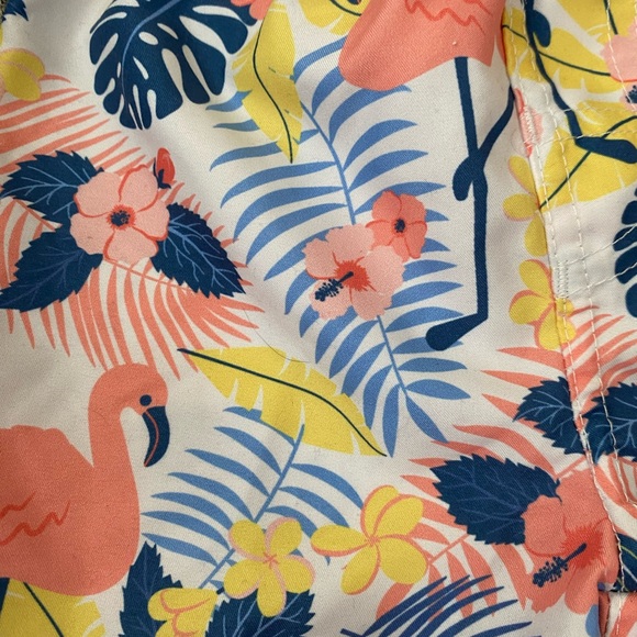 Rugged Butts Tropical Flamingo Boys Swim Trunks 12-18m netted undies EUC - Picture 2 of 5